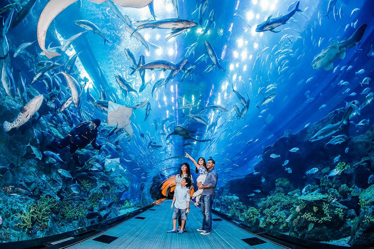 UAE 32 Dubai Aquarium